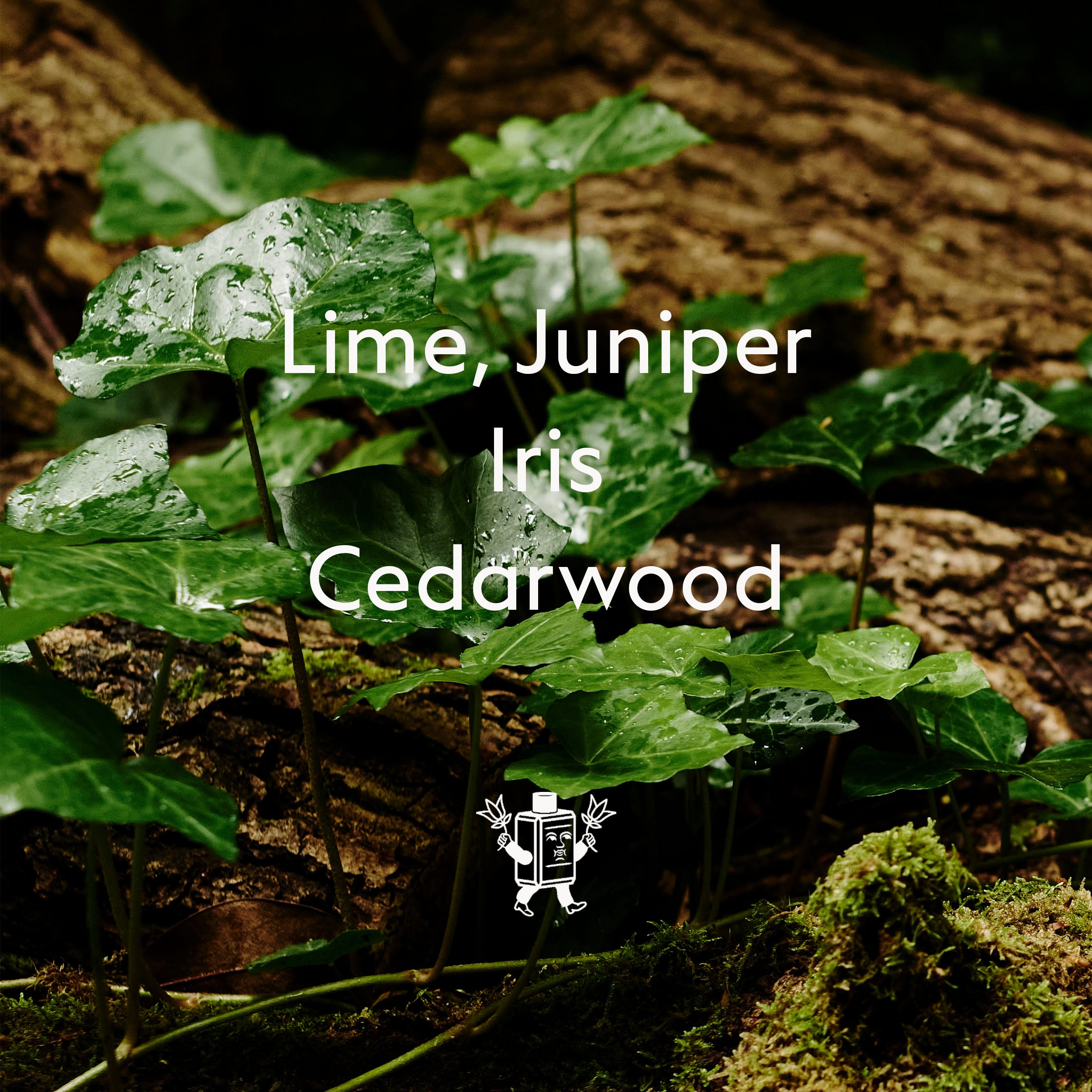 Cedarwood Active-Hydrate Handseife